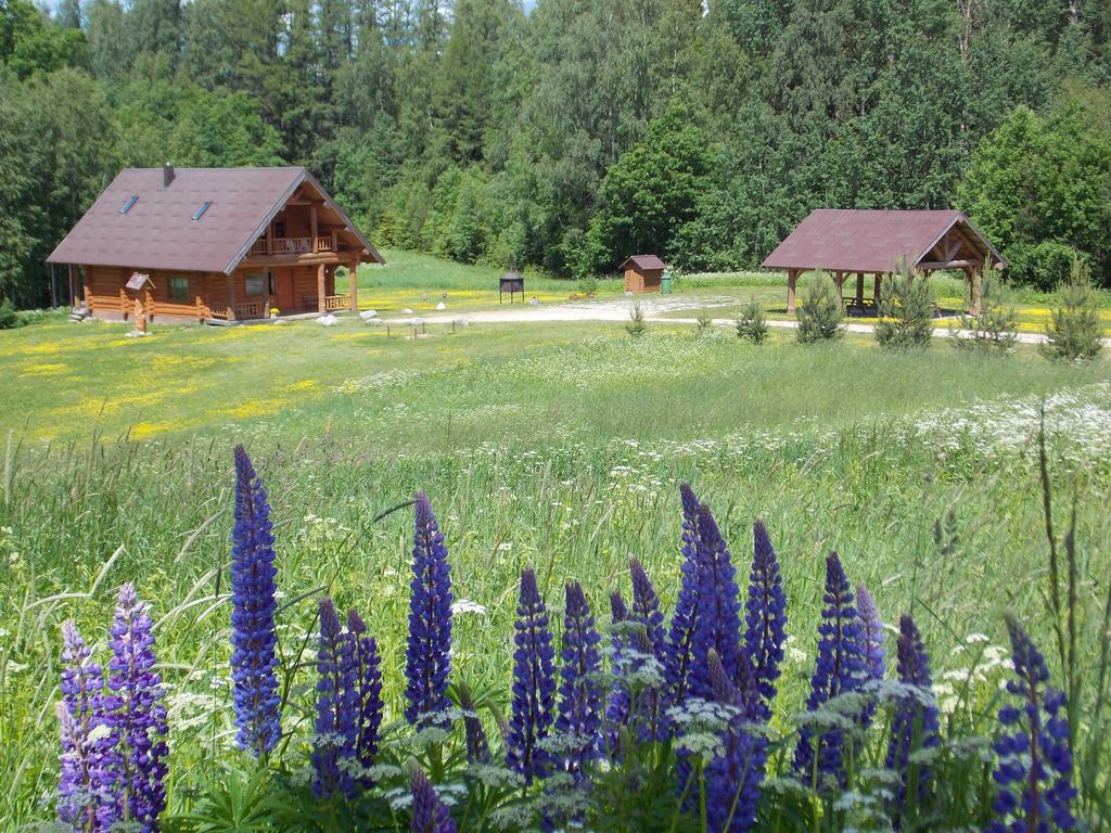 Guest House Kalnini Kārļi 외부 사진