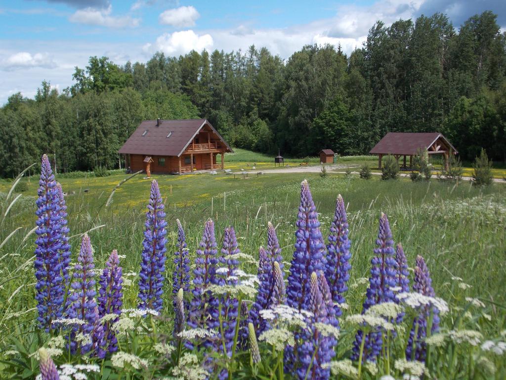 Guest House Kalnini Kārļi 외부 사진